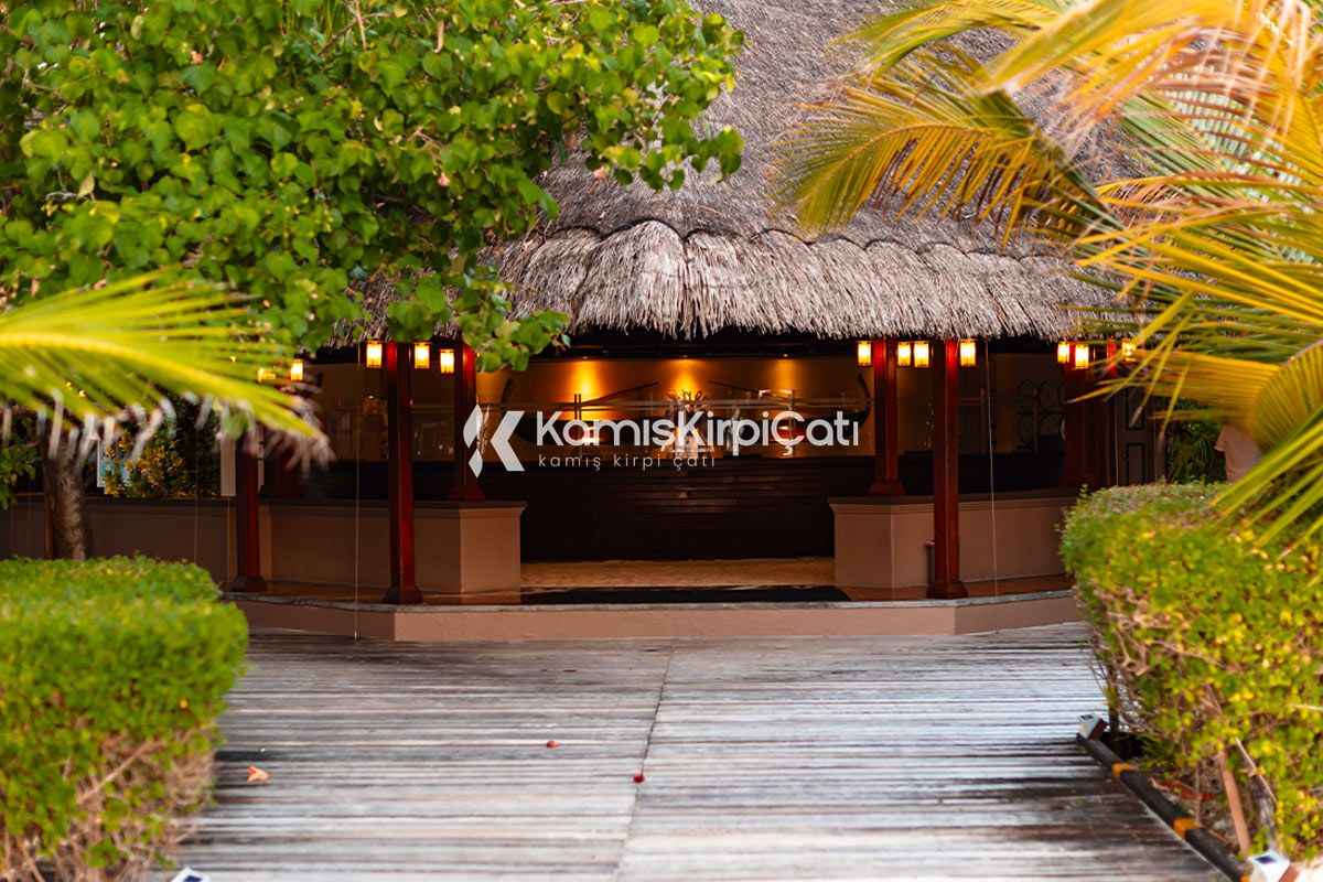 Kamış Çatı Kaplama