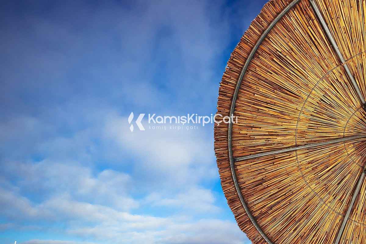 Kamış Şemsiye