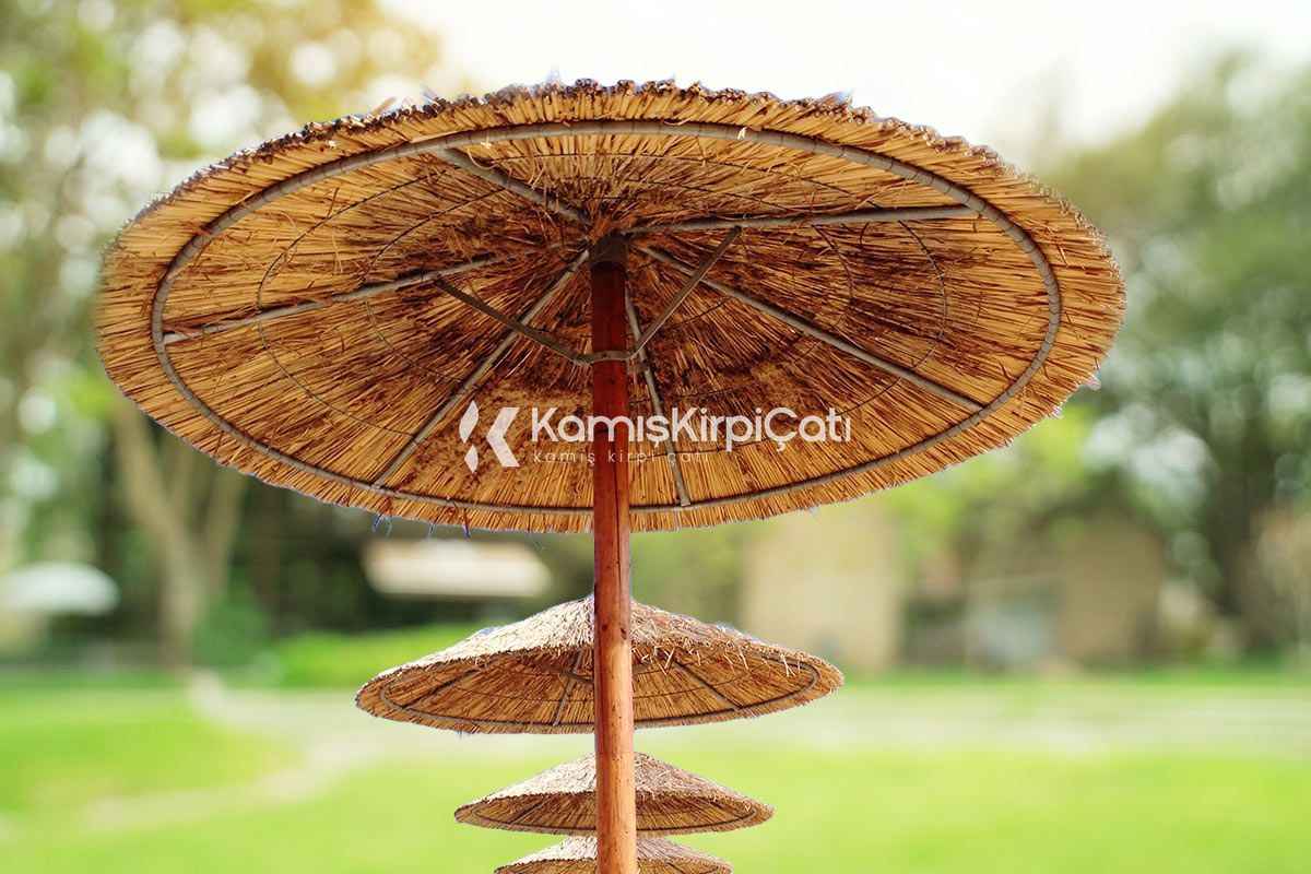 Kamış Şemsiye