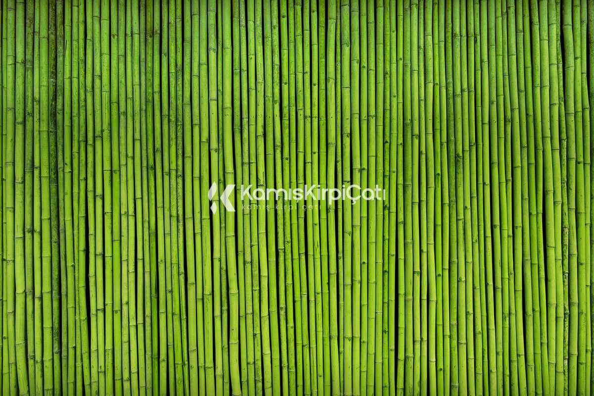 Bambu Nedir?