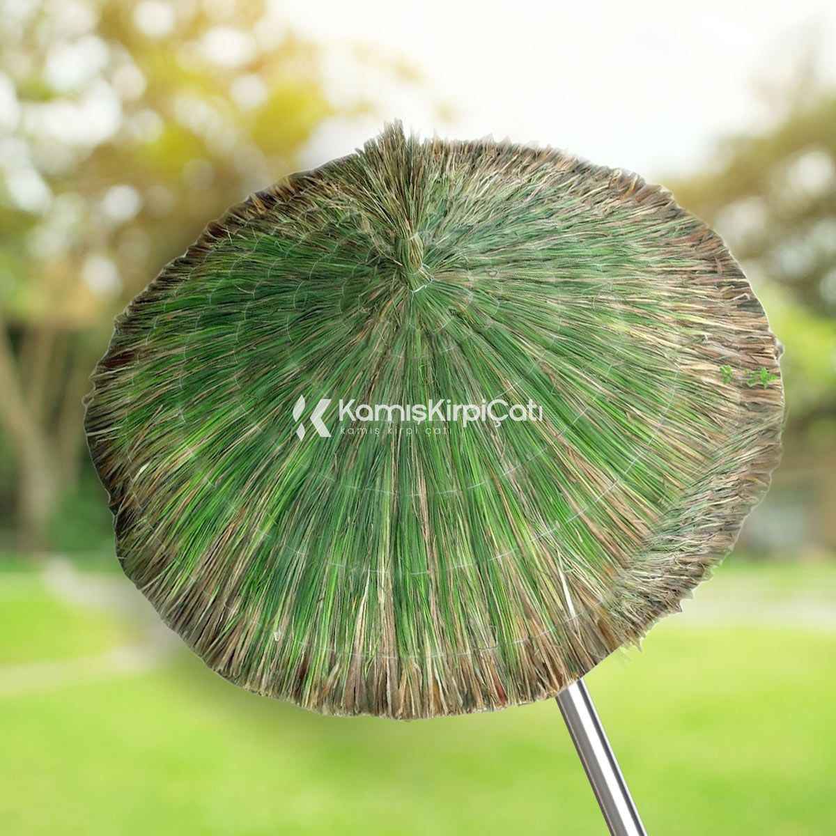 Fethiye Hasır Şemsiye